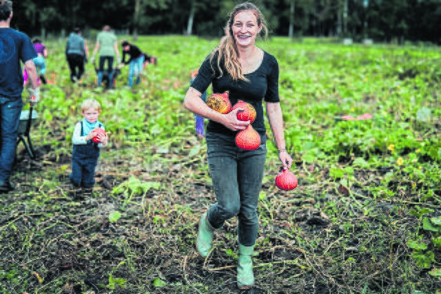Im Herbst werden Kürbisse geerntet | Foto: Solawi Superschmelz