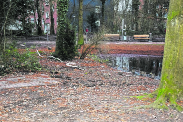 Der Holzsteg ist entfernt. Er wird an anderer Stelle Ersatz finden | Foto: Axel-Holger Haase