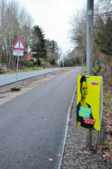 Wahlplakat der FDP-Kandidatin Judith Höfler | Foto: bim