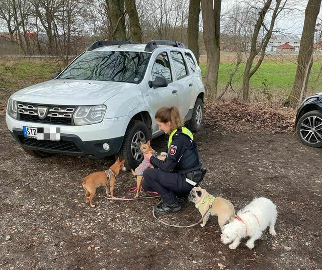 Die Vierbeiner wurden von Feuerwehr und Polizei liebevoll betreut | Foto: Polizei