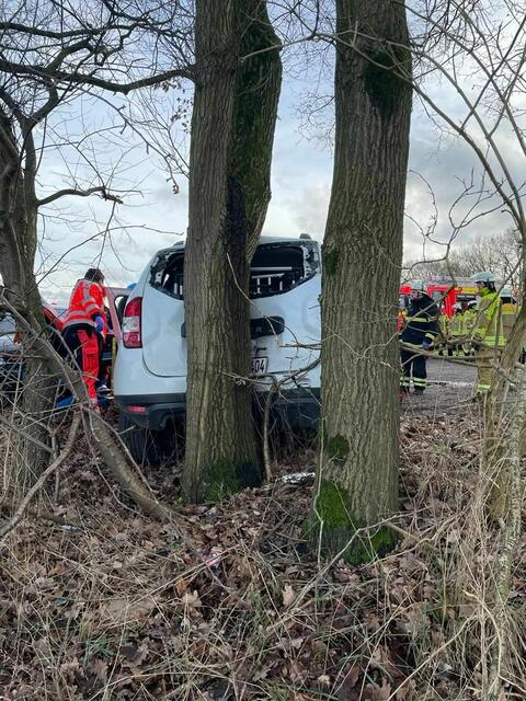 Warum der Dacia von der Straße abkam. ist noch unklar | Foto: Polizei