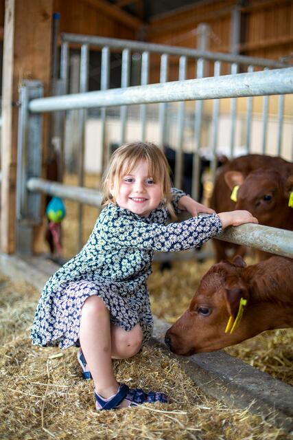 Eine kleine Besucherin im Kuhstall | Foto: Zum Dorfkrug Landhof
