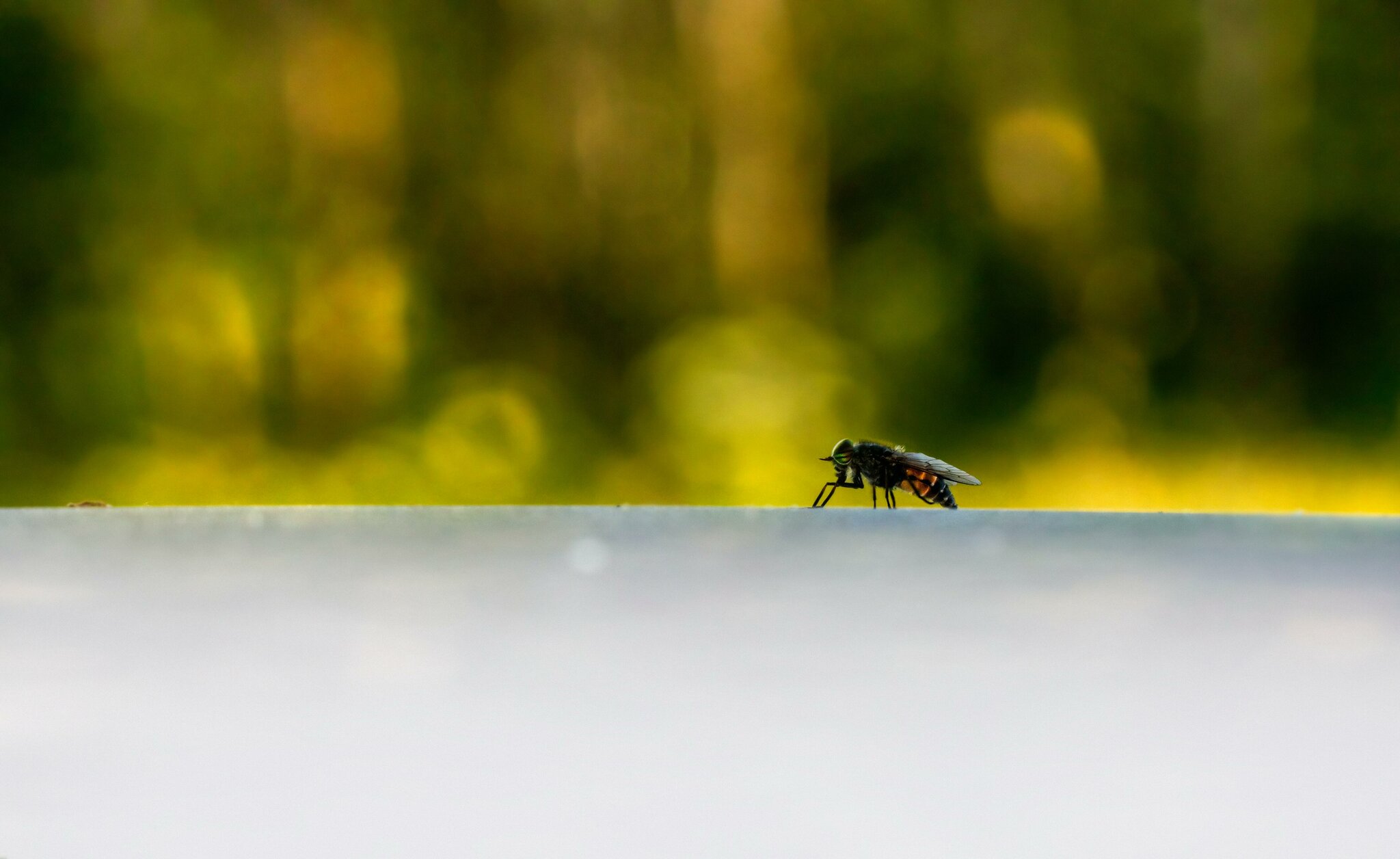 Fliegengitter Tür Magnetisch 235x195 Cm – Klebemontage Ohne Bohren, Insektenschutz Für Balkontüren