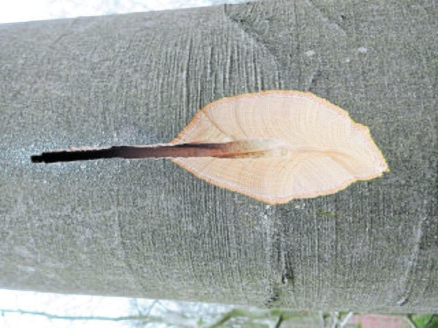 So sehen die künstlichen Fledermaushöhlen aus