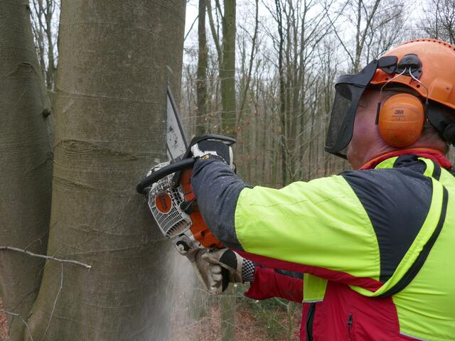 Anlage einer künstlichen Fledermaushöhle | Foto: Sierk / Niedersächsische Landesforsten