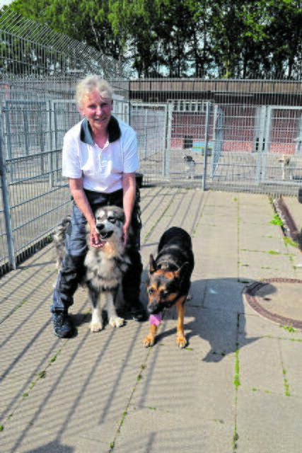 Doris Firlus im vergangenen Jahr mit "Bonnie" und "Eso" | Foto: bim