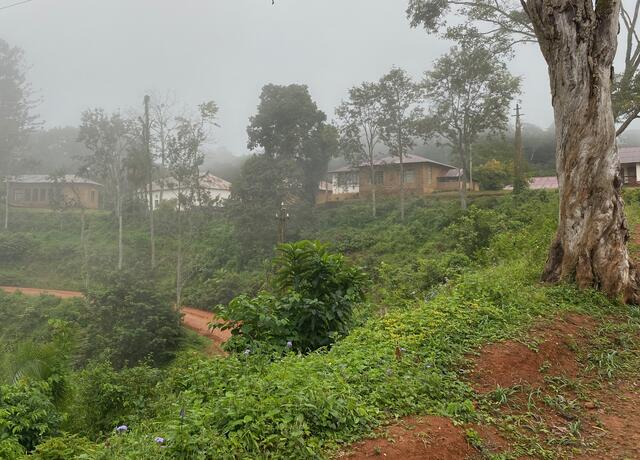 Die heutige Amani Hill Station des National Institute for Medical Research | Foto:  Museen Stade