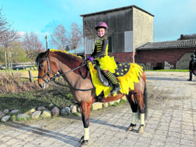 Marlen und ihr Pony Zuckerschnute als Biene auf einer Sonnenblume wurden für das schönste Kostüm ausgezeichnet  | Foto: Familie Schmoldt