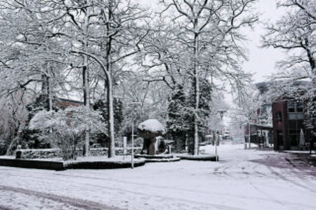 Die Buchholzer Innenstadt war schneebedeckt | Foto: Axel-Holger Haase