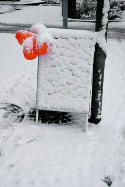 Welcher Hinweis verbirgt hinter dieser Schneeschicht? | Foto: Axel-Holger Haase