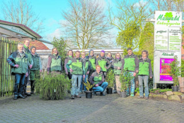 Zum Maiwald-Team gehören 13 Mitarbeiterinnen und Mitarbeiter in Voll- und Teilzeit | Foto: Martin Elsen