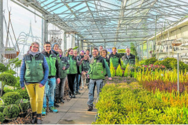 Zum Maiwald-Team gehören 13 Mitarbeiterinnen und Mitarbeiter in Voll- und Teilzeit | Foto: Martin Elsen