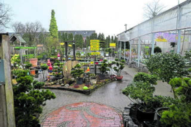 Viel Auswahl gibt es in der Baumschule Maiwald zu entdecken | Foto: sc