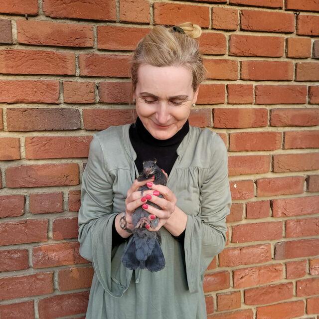 Liane Schneider mit einer geretteten Taube | Foto: Schneider