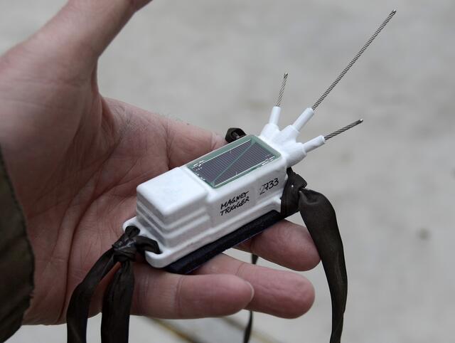 So sieht ein Sender für Störche aus: GPS-Datenlogger mit Solarpanel zur Energieversorgung und Antennen. | Foto: Dr. Holger Schulz