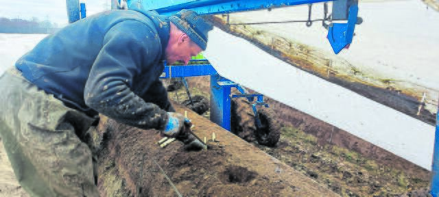 Die Spargelernte hat begonnen | Foto: Spargelhof Werner