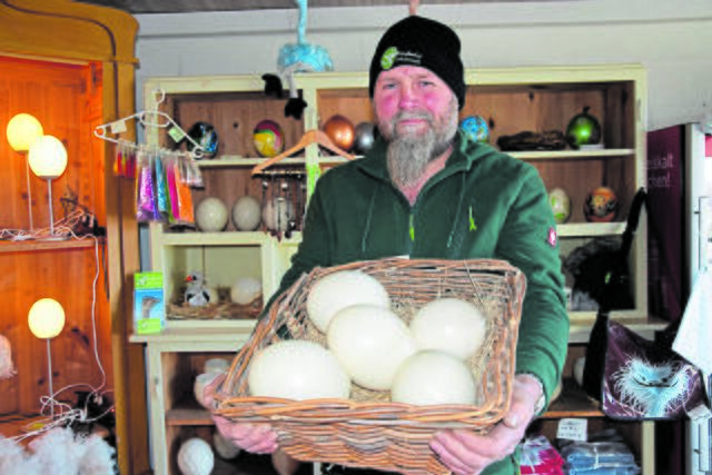 Hofbetreiber Stefan Johannsen mit Straußeneiern in seinem Hofladen | Foto: ts