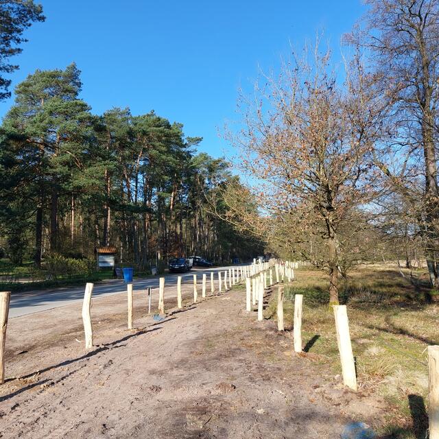 Nun wurden am Büsenbachtal auch Holzpfosten aufgestellt, um das wilde Parken zu behindern. Zuvor waren Besucher mit ihren Autos bis auf die Rasenflächen des Landschaftsschutzgebietes gefahren
