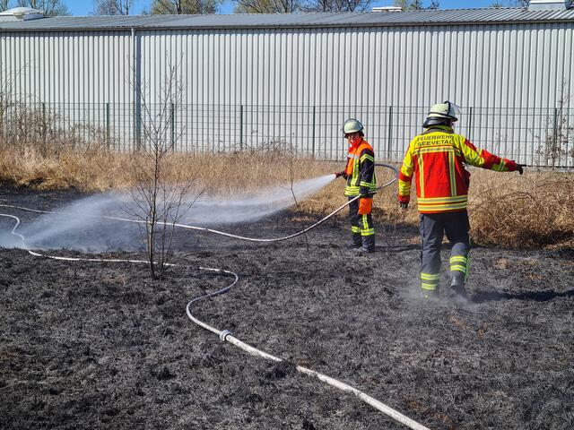 Foto: Feuerwehr