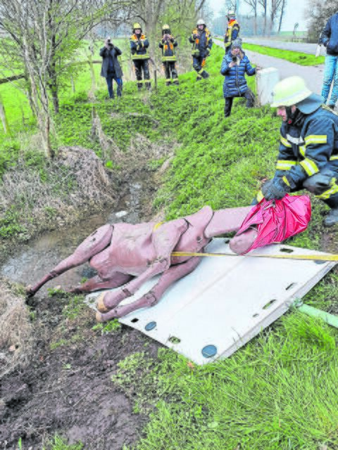 Die Feuerwehrleute lernten den richtigen Umgang mit verunglückten Großtieren | Foto: www.comcavalo.de
