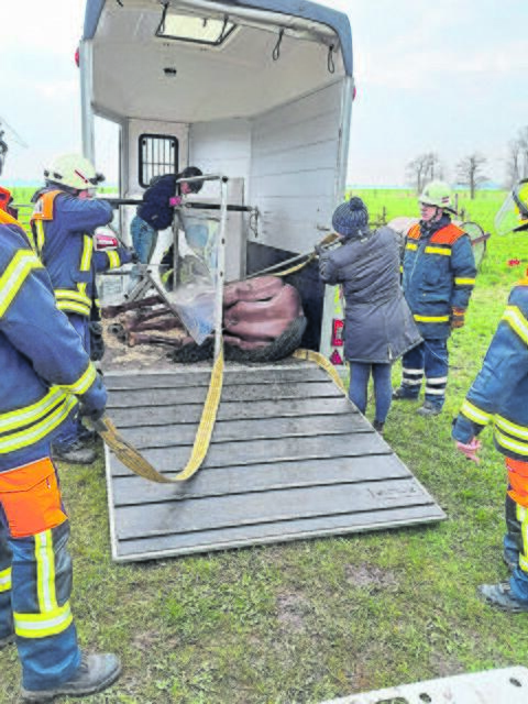 Bergung eines verunglückten Pferdes im Transportanhänger | Foto: www.comcavalo.de
