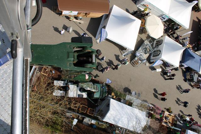 Blick aus 22 Metern: Auch in dieser Höhe arbeiten Koppermann-Mitarbeiter mit der Kettensäge an Bäumen | Foto: pöp