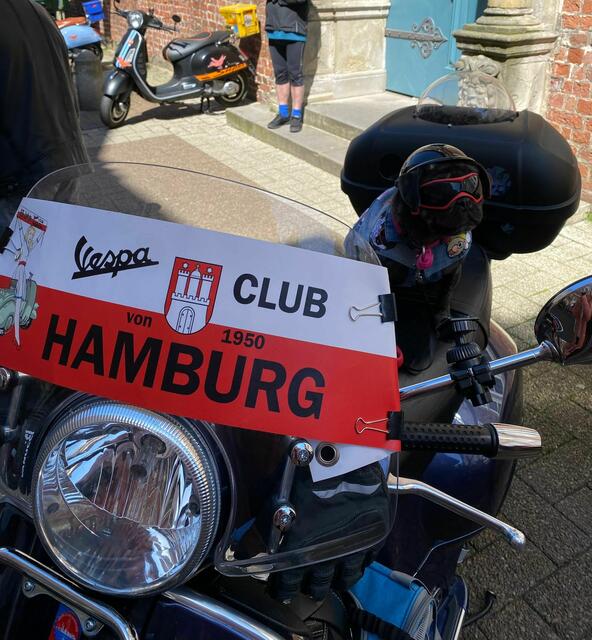 Mops_ Erna vom Vespa Club Hamburg war auch in Stade zu Besuch. | Foto: SMTG
