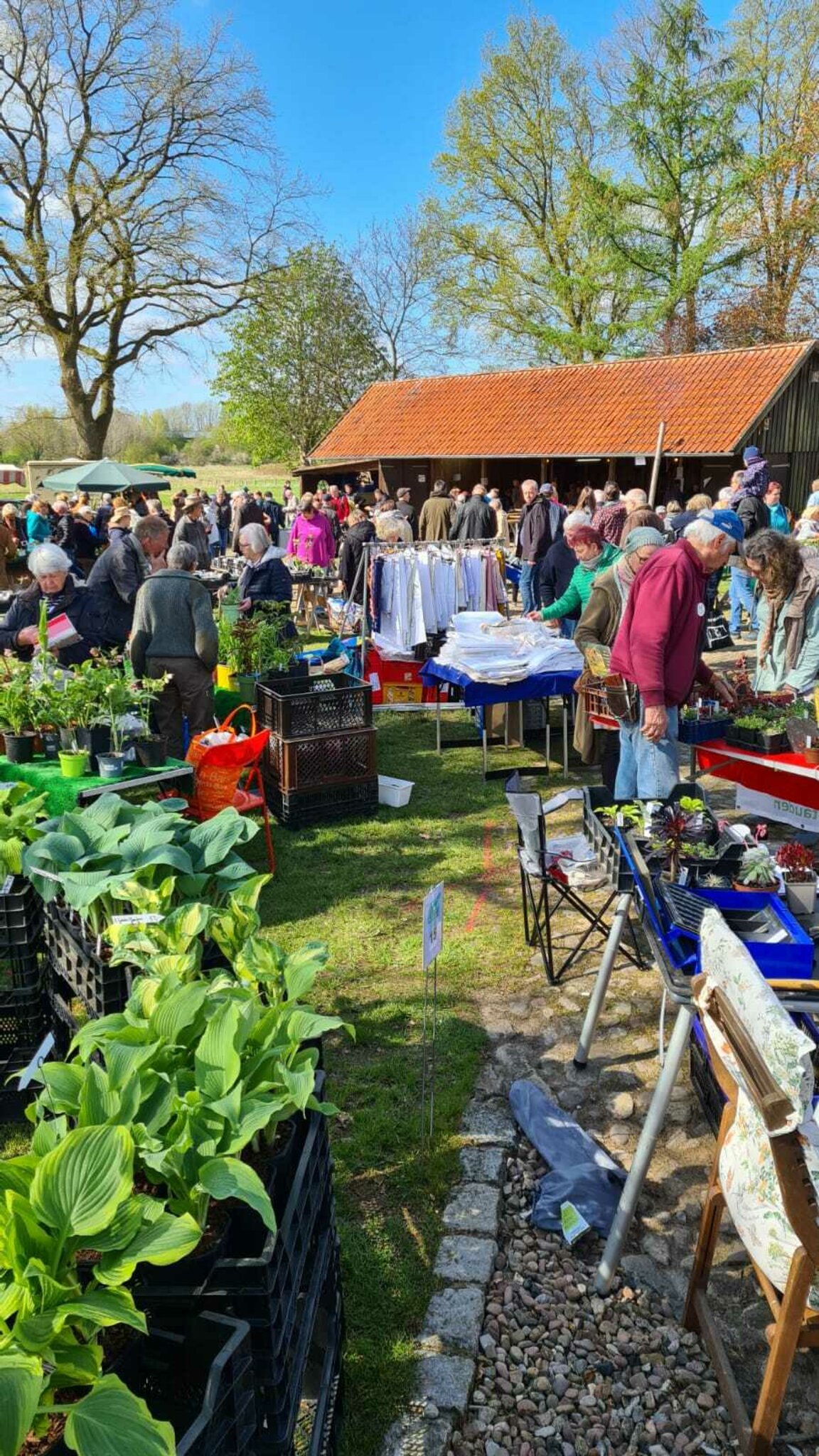 Pflanzenmarkt der Superlative Rund 6.000 Besucher in Beckdorf Buxtehude