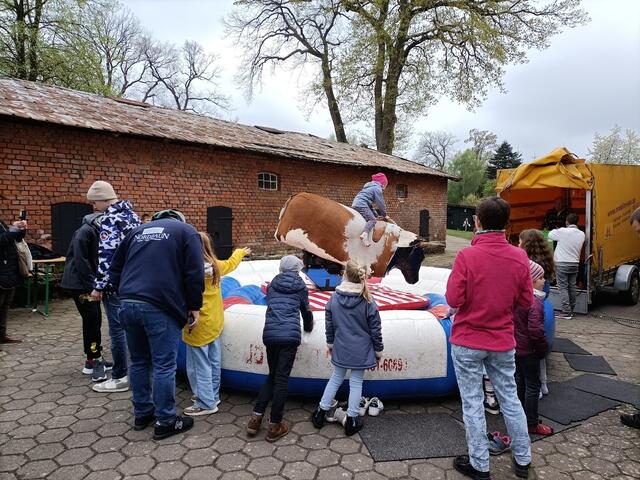 Auch das Bullriding der Landjugend Asendorf erfreute sich großer Beliebtheit | Foto: Dr. Manfred Lohr