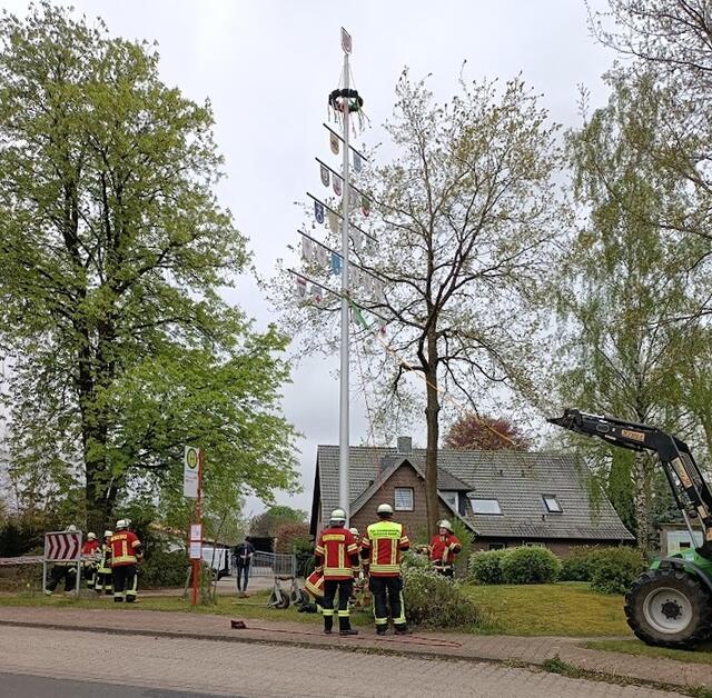 Der Maibaum steht! | Foto: Dr. Manfred Lohr