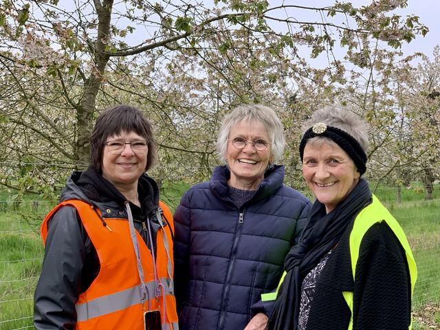 Wir sind wieder da: Marion Stützlein, Uschi Schult und Birgit Flierbaum  | Foto: Foto: Uwe Gast