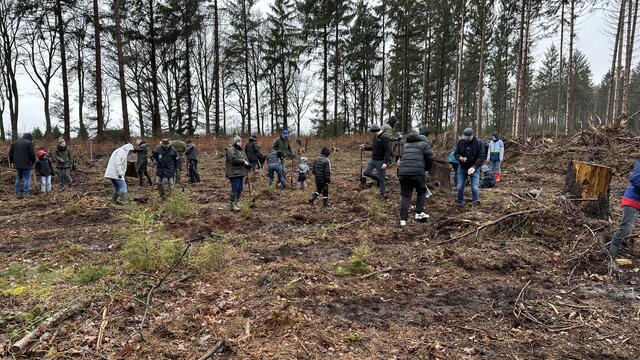 Mitarbeiter des Autohauses Kuhn + Witte und Familienmitglieder pflanzten Eichen und Sträucher im Stuvenwald | Foto: Kuhn + Witte