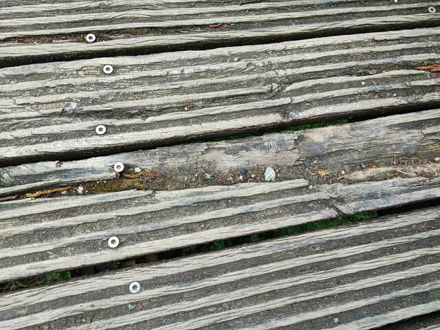 Defekte Bretter, aus denen die schrauben zentimeterweit herausgucken, sind auf den Brücken im Park keine Seltenheit | Foto: thl