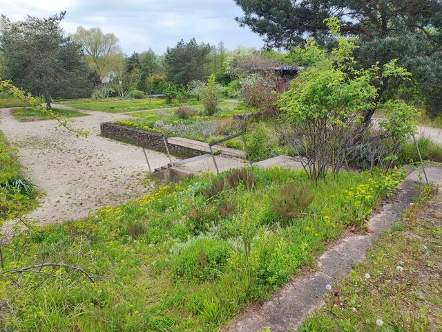 Unkraut, so weit das Auge reicht | Foto: thl