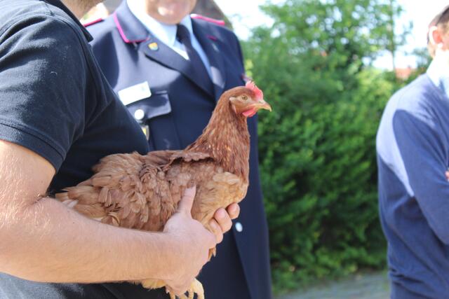 Die rote Zora vor ihrer wichtigen Aufgabe | Foto: pm