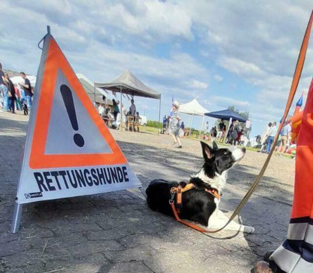 Auftritt der Rettungshundestaffel | Foto: Seebeck