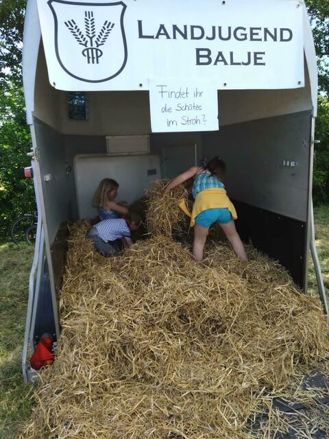 Schatzsuche im Stroh | Foto: Seebeck