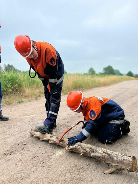 Ein Ast, der eine Straße blockiert, wird zersägt. | Foto: Freiwillige Feuerwehr Wiepenkathen