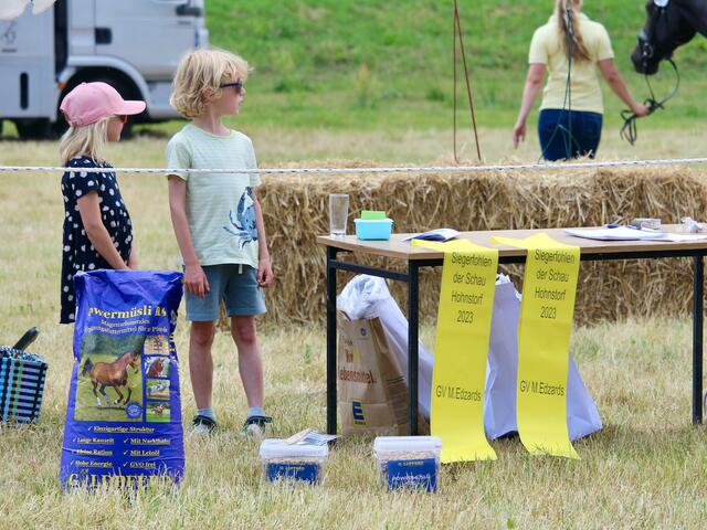 Die Geschwister Lauri und Anne Berkner aus Westergellersen verfolgen gespannt die Fohlenschaupräsentation | Foto: Nicola Prüter