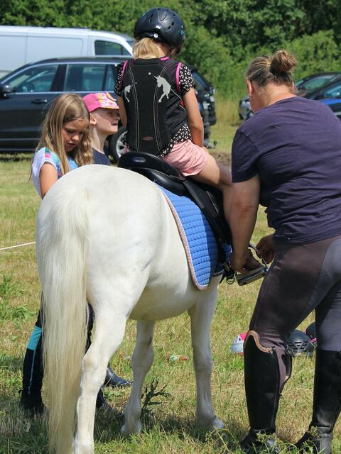 Aber auch kleine Zweibeiner kamen am Hohnstorfer Elbdeich voll auf ihre Kosten. Beim Ponyreiten, liebevoll organisiert und durchgeführt von Larissa Peters vom Ponyfeeling Hof Schnaar aus Hohnstorf, waren die kleinen Vierbeiner die Stars und sorgten für viele strahlende Gesichter. | Foto: Nicola Prüter