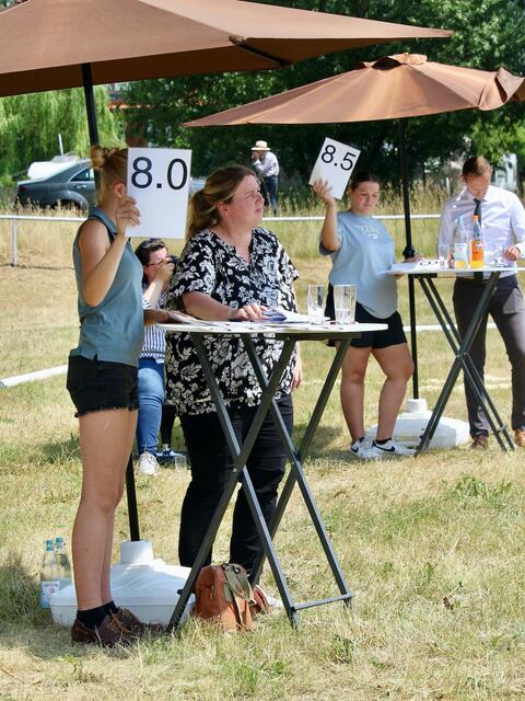 Als Richter waren angetreten Nadine Heidrich, Heinz Meyer, Fabio Ladwig, alles ausgewiesene Pferdekundige mit kritischem Analysevermögen. Hier mit tatkräftiger Unterstützung unserer Notenassistentinnen. | Foto: Nicola Prüter