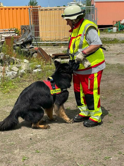 In den Trümmern mit Helm und Handschuhen unterwegs: Hundefüherin Barbara Weiß mit Rettungshund Basco | Foto: BZRH
