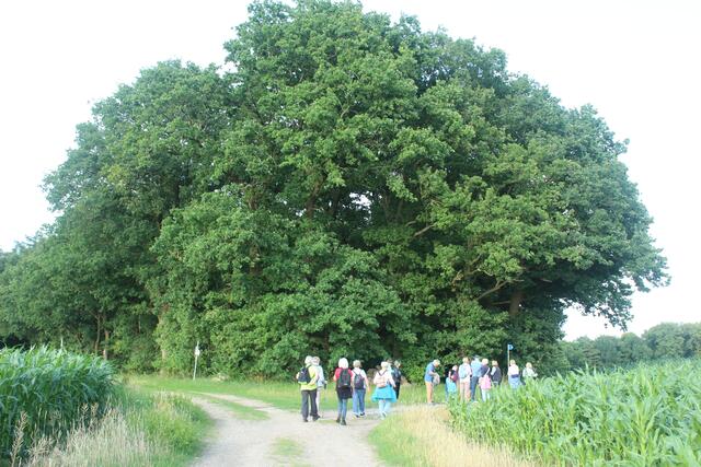 An der Weggabelung machen wir Pause. Später geht es auf dem Weg links weiter
