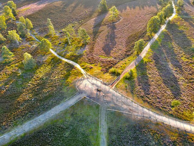 Der Brunsberg steht im Mittelpunkt des ersten Naturerbetags | Foto: Landkreis Harburg