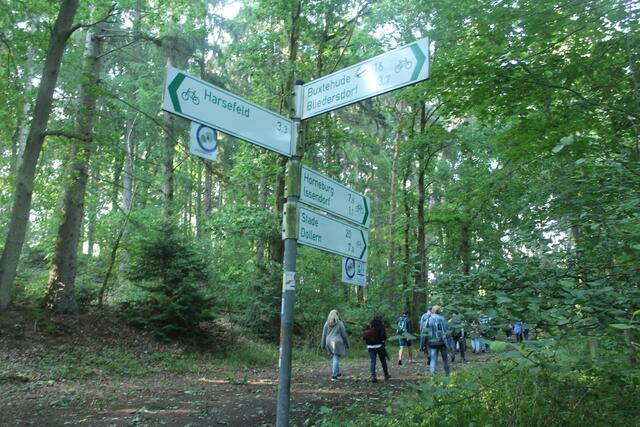 Und weiter geht's in Richtung Issendorf