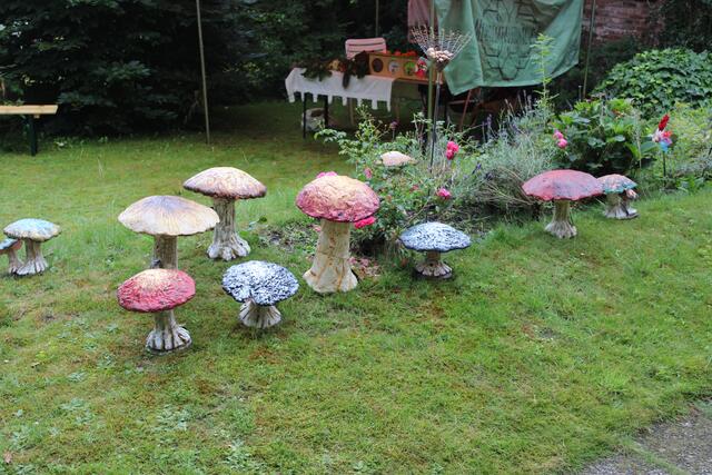 Auch die Sammler außergewöhnlicher Pilze wurden beim Festival fündig | Foto: ce