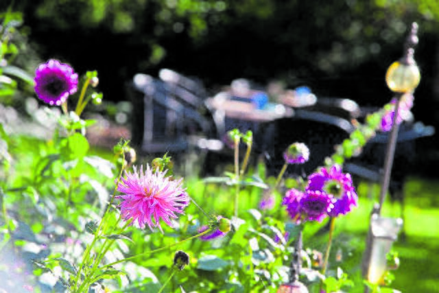 Foto: Wehler Deel