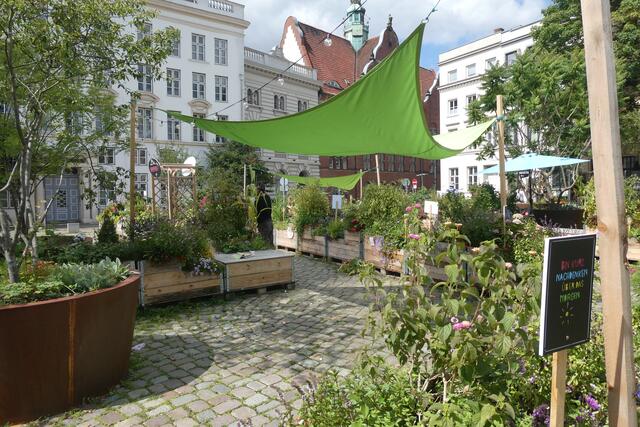 Ein Beispiel aus Lübeck, wie Urban Gardening mustergültig umgesetzt wurde | Foto: jd