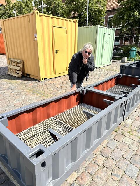 Ein Rätsel: Was hat es mit diesen grauen Gebilden auf sich? | Foto: jd