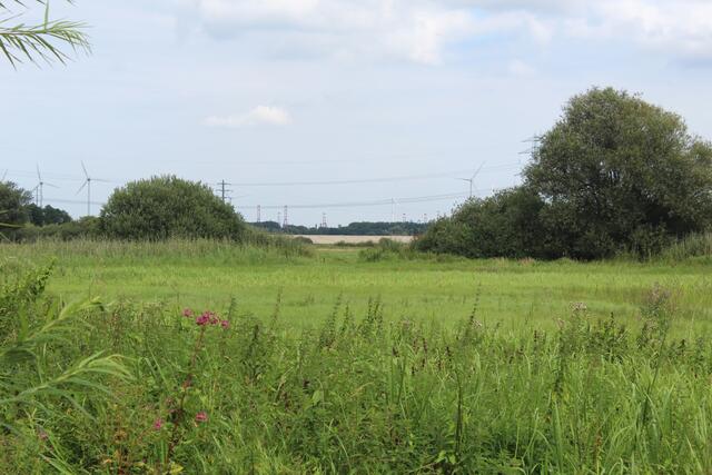 Der helle Streifen ist Sand, der dort aufgetragen wurde, um das Gelände für den Bau der A26-West vorzubereiten | Foto: pm